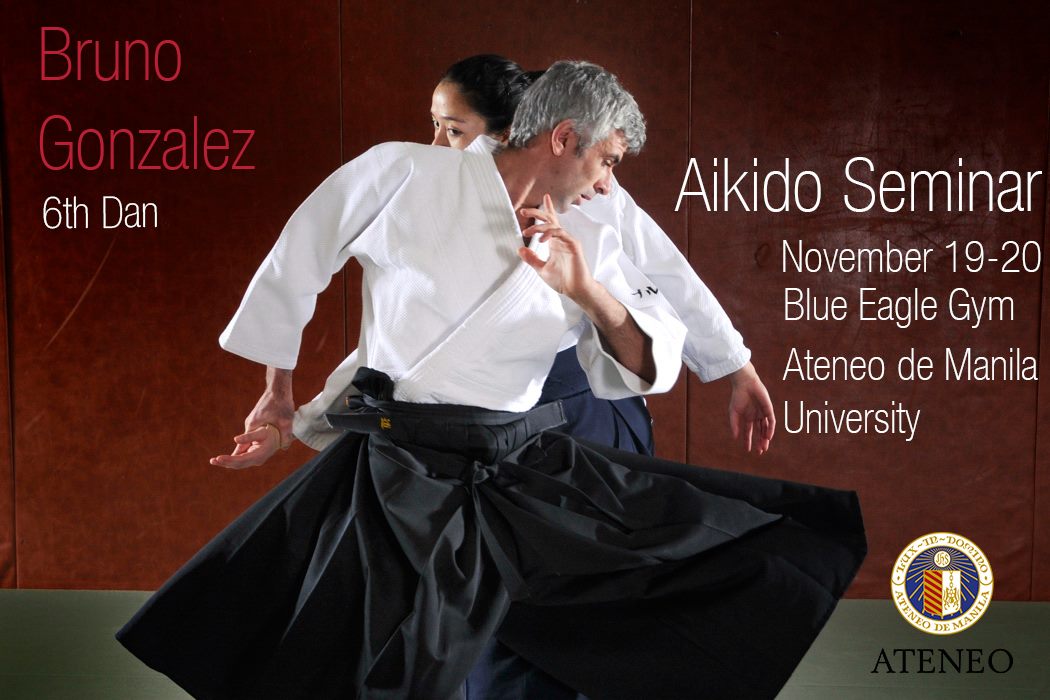Bruno Gonzales seminar poster, November 2016